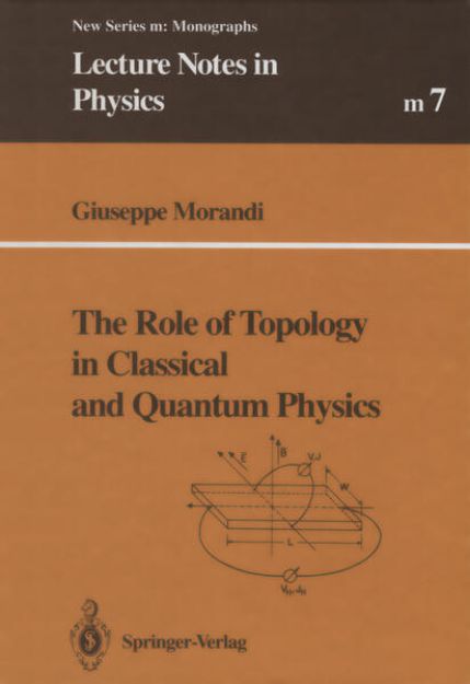 Bild von The Role of Topology in Classical and Quantum Physics von Giuseppe Morandi