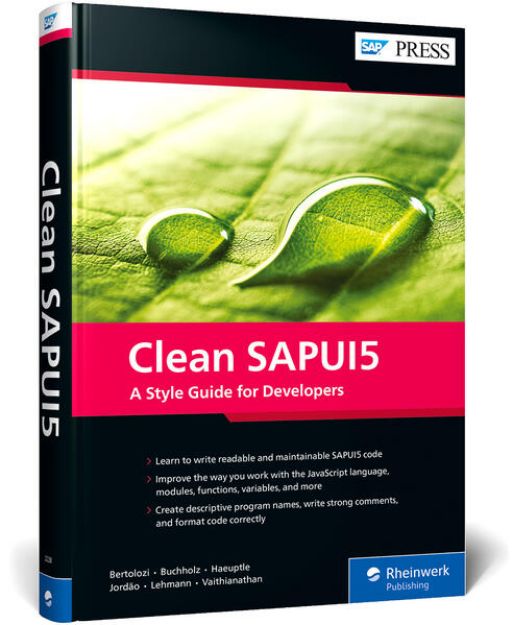 Bild von Clean SAPUI5 von Daniel Bertolozi