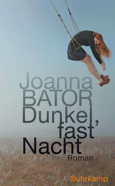 Bild von Dunkel, fast Nacht von Joanna Bator