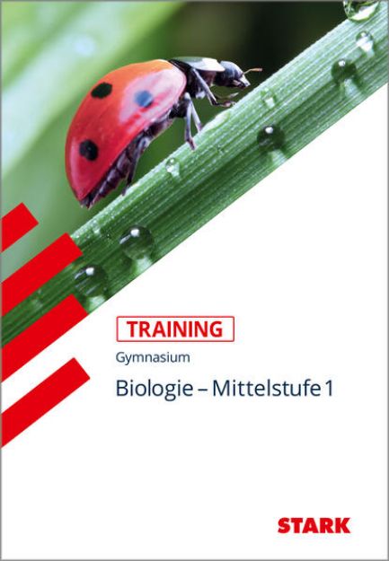 Bild von Biologie Mittelstufe 1: Training Biologie von Harald Steinhofer