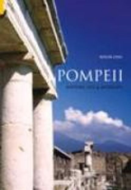 Bild von Pompeii von Roger Ling