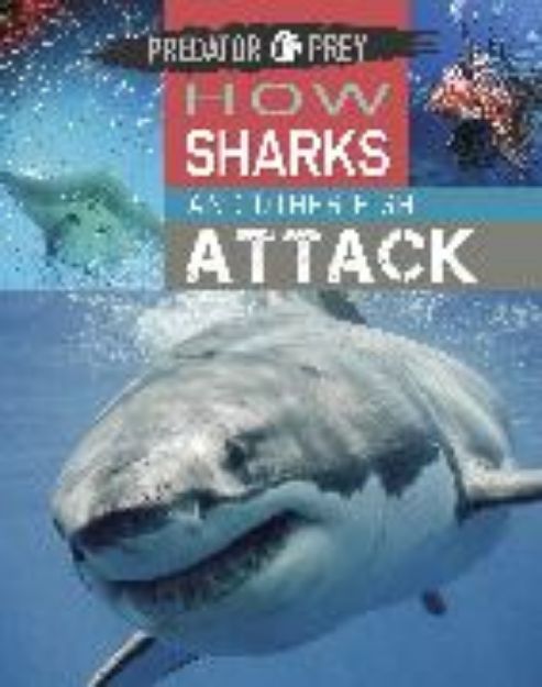 Bild von Predator vs Prey: How Sharks and other Fish Attack von Tim Harris