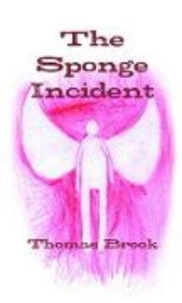 Bild von The Sponge Incident von Thomas Brook