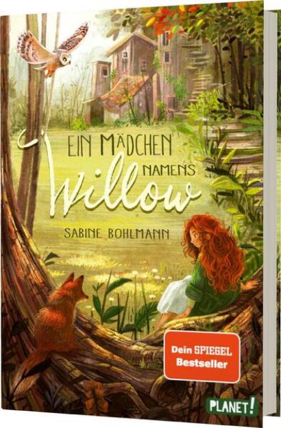 Bild zu Ein Mädchen namens Willow 1: Ein Mädchen namens Willow von Sabine Bohlmann