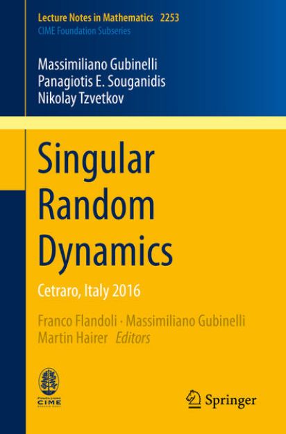 Bild zu Singular Random Dynamics von Massimiliano Gubinelli