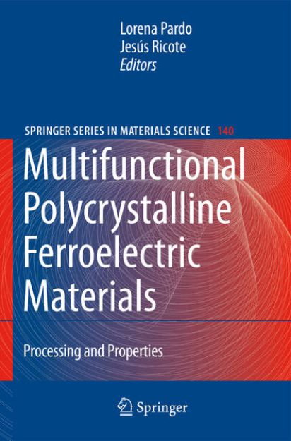 Bild zu Multifunctional Polycrystalline Ferroelectric Materials von Lorena (Hrsg.) Pardo