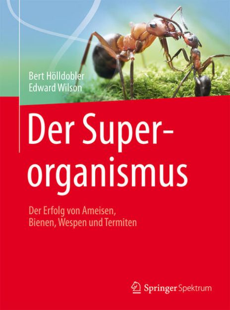 Bild von Der Superorganismus von Bert Hölldobler