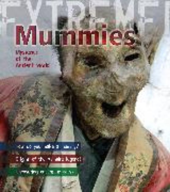 Bild von Mummies von Paul Harrison