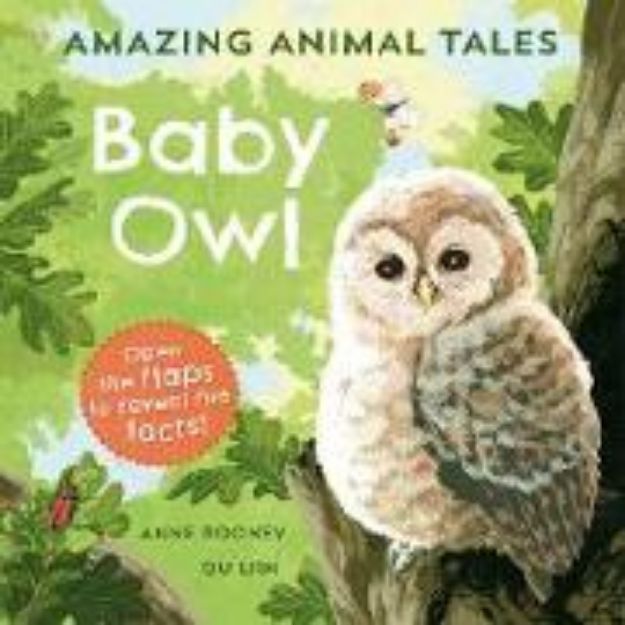 Bild von Amazing Animal Tales: Baby Owl von Anne Rooney