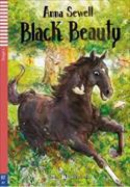 Bild zu Black Beauty von Anna Sewell