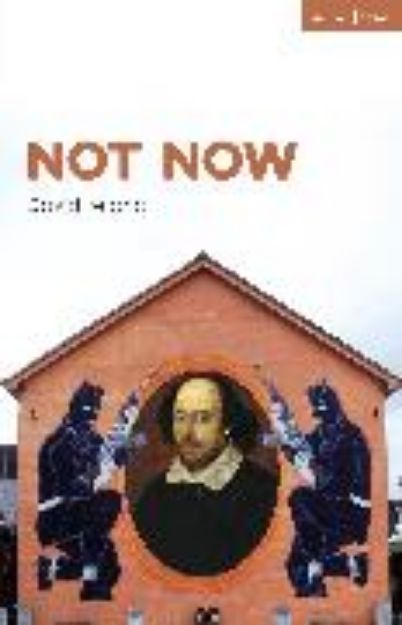 Bild von Not Now von David Ireland