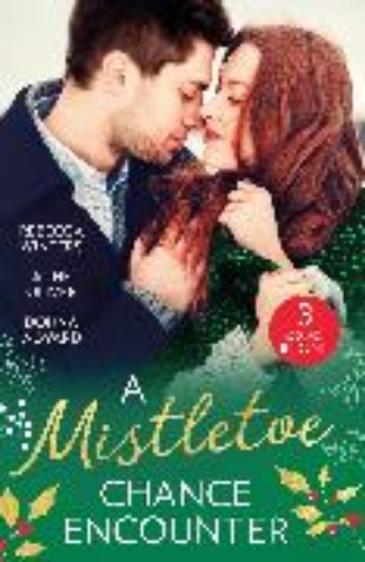 Bild von A Mistletoe Chance Encounter von Winters Rebecca