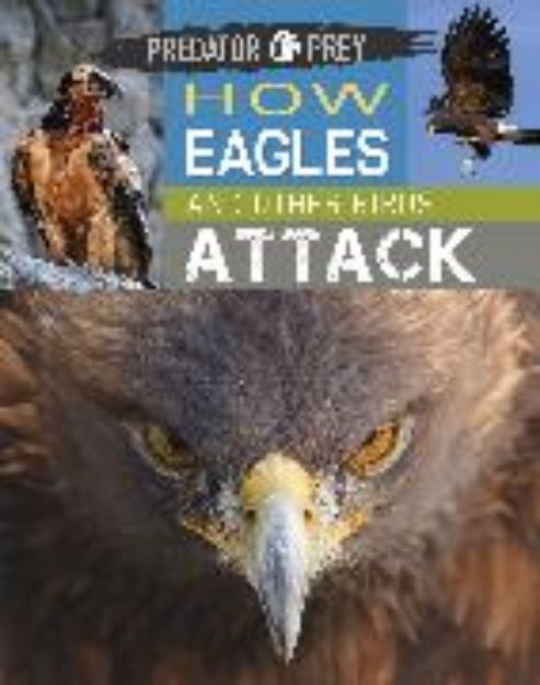 Bild von Predator vs Prey: How Eagles and other Birds Attack von Tim Harris