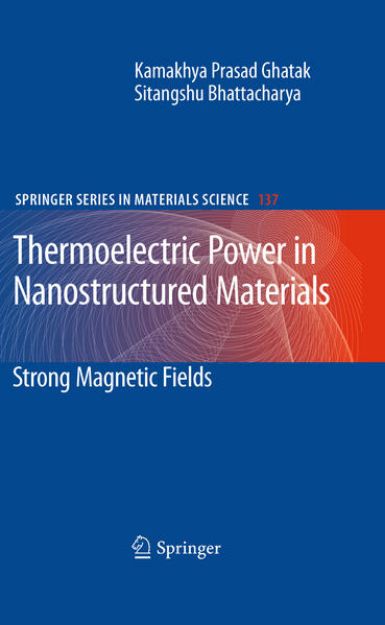 Bild von Thermoelectric Power in Nanostructured Materials von Kamakhya Prasad Ghatak