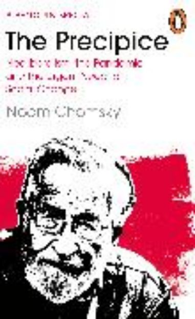 Bild von The Precipice von Noam Chomsky