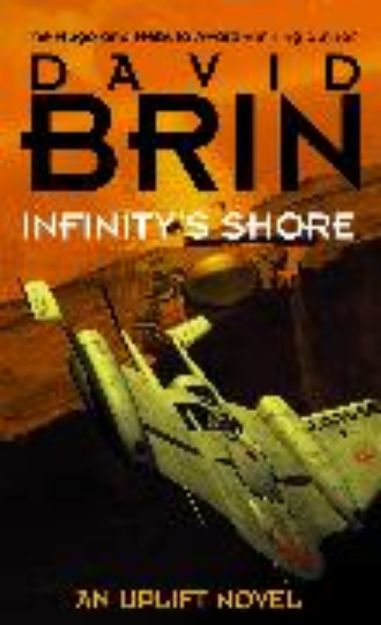 Bild von Infinity's Shore von Brin David