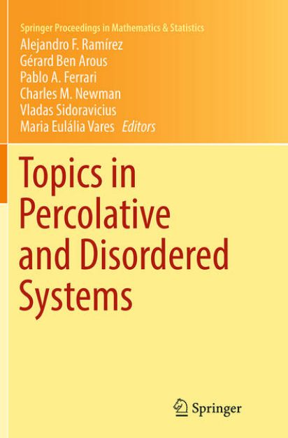 Bild von Topics in Percolative and Disordered Systems von Alejandro F. (Hrsg.) Ramírez