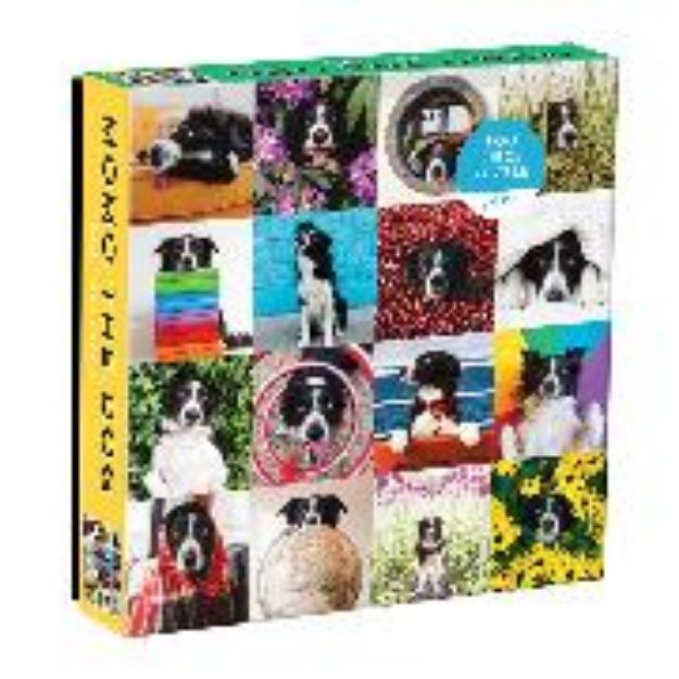 Bild von Momo The Dog 500 Piece Puzzle von Galison (Geschaffen)