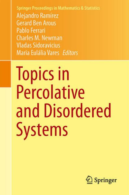 Bild von Topics in Percolative and Disordered Systems von Alejandro F. (Hrsg.) Ramírez