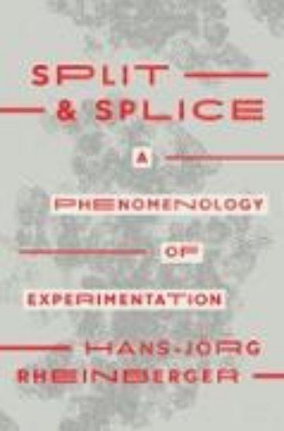 Bild von Split and Splice von Hans-Jorg Rheinberger