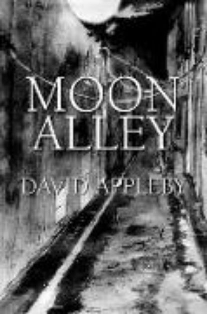 Bild zu Moon Alley von David Appleby