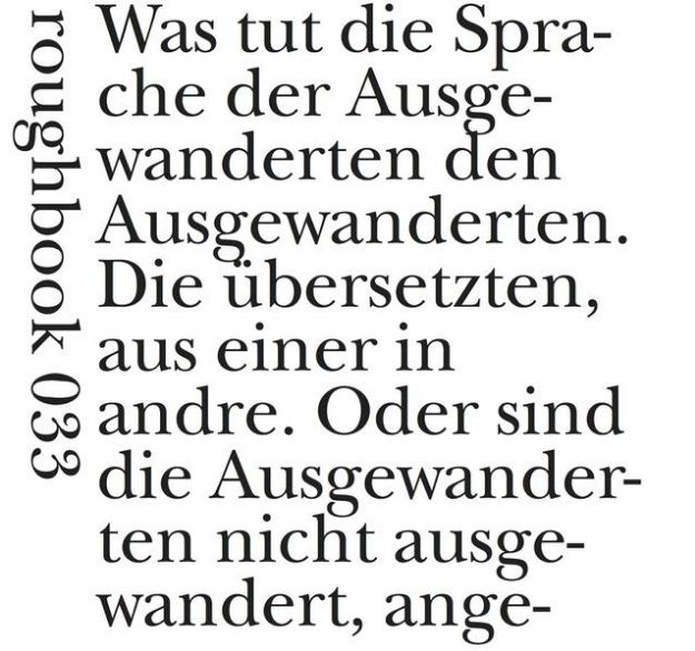 Bild zu Hölderlin-Hybride von Waldrop Rosmarie