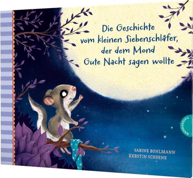 Bild von Der kleine Siebenschläfer 6: Die Geschichte vom kleinen Siebenschläfer, der dem Mond Gute Nacht sagen wollte von Sabine Bohlmann