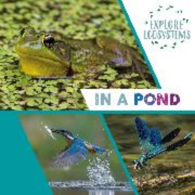 Bild zu Explore Ecosystems: In a Pond von Ridley Sarah