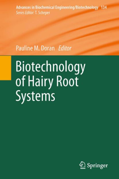 Bild von Biotechnology of Hairy Root Systems von Pauline M (Hrsg.) Doran