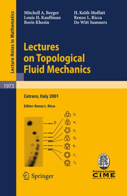 Bild von Lectures on Topological Fluid Mechanics von Mitchell A. Berger