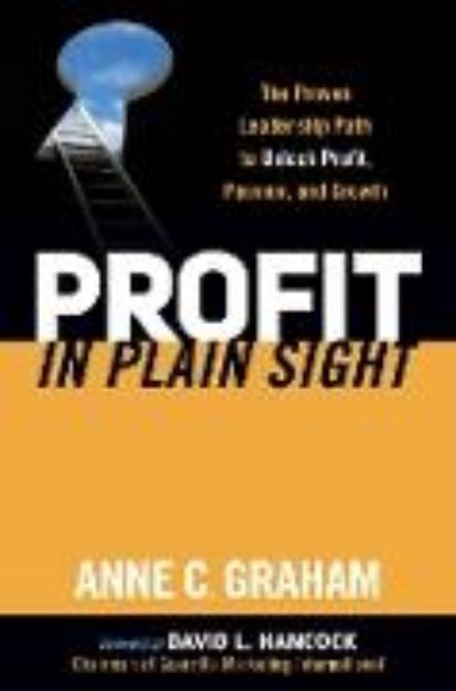 Bild von Profit in Plain Sight von Anne C. Graham