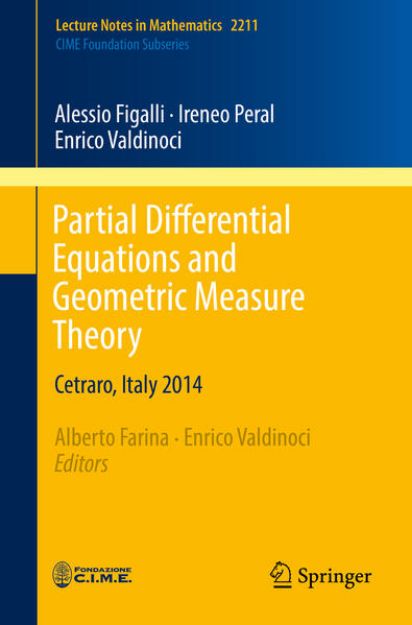 Bild von Partial Differential Equations and Geometric Measure Theory von Alessio Figalli