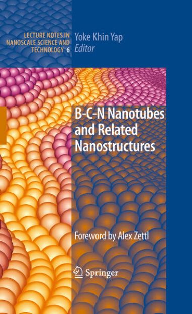 Bild von B-C-N Nanotubes and Related Nanostructures von Yoke Khin (Hrsg.) Yap