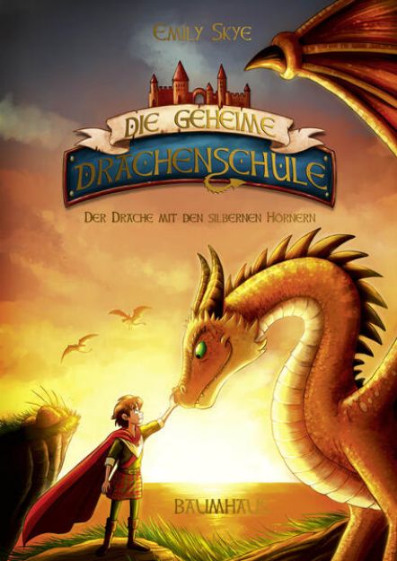 Bild von Die geheime Drachenschule - Der Drache mit den silbernen Hörnern von Emily Skye