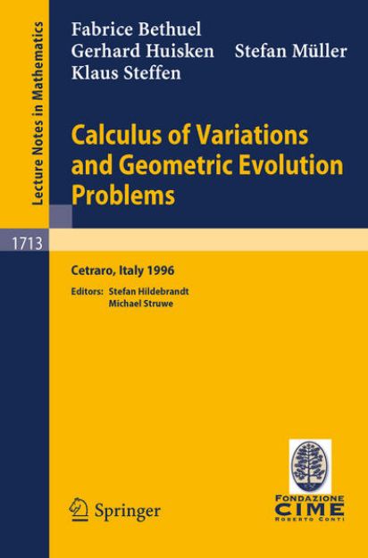 Bild von Calculus of Variations and Geometric Evolution Problems von F. Bethuel