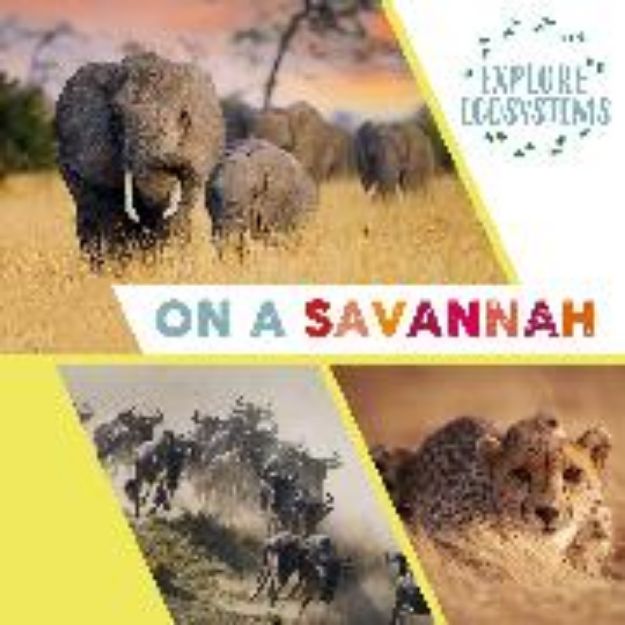 Bild von Explore Ecosystems: On a Savannah von Ridley Sarah