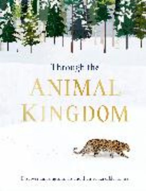 Bild zu Through the Animal Kingdom von Derek Harvey