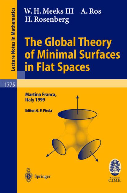 Bild von The Global Theory of Minimal Surfaces in Flat Spaces von W. H. III Meeks