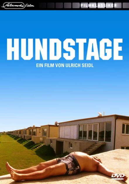 Bild von Hundstage von Veronika Franz