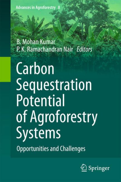 Bild zu Carbon Sequestration Potential of Agroforestry Systems von P. K. Ramachandran (Hrsg.) Nair