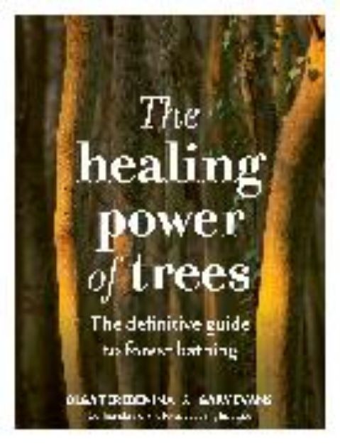 Bild von The Healing Power of Trees von Olga Terebenina