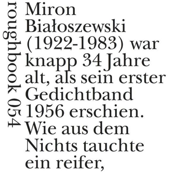 Bild von M'ironien von Miron Bialoszewski