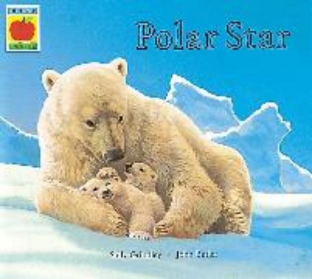 Bild von Polar Star von Sally Grindley