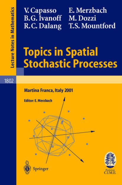 Bild von Topics in Spatial Stochastic Processes von Vincenzo Capasso