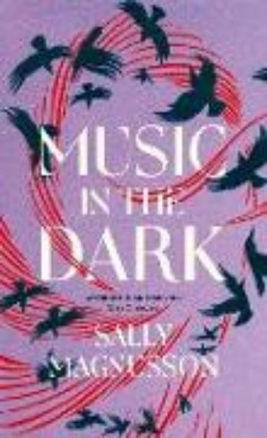 Bild von Music in the Dark von Sally Magnusson