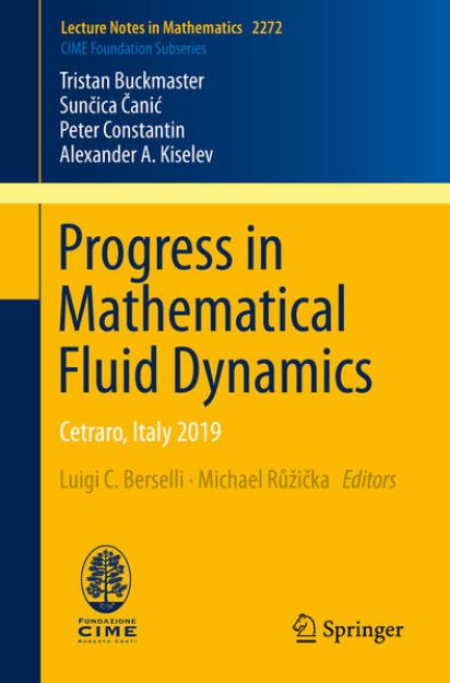 Bild von Progress in Mathematical Fluid Dynamics von Tristan Buckmaster