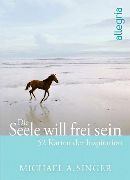 Bild von Die Seele will frei sein von Michael A. Singer