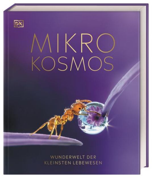 Bild von Mikrokosmos - Wunderwelt der kleinsten Lebewesen von Derek Harvey