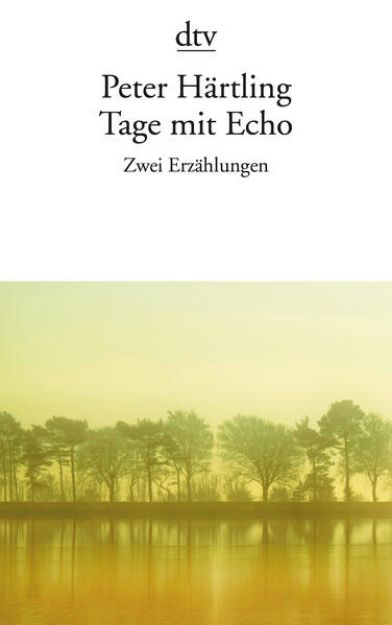 Bild von Tage mit Echo von Peter Härtling