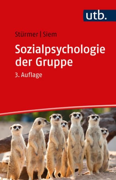 Bild von Sozialpsychologie der Gruppe von Stefan Stürmer